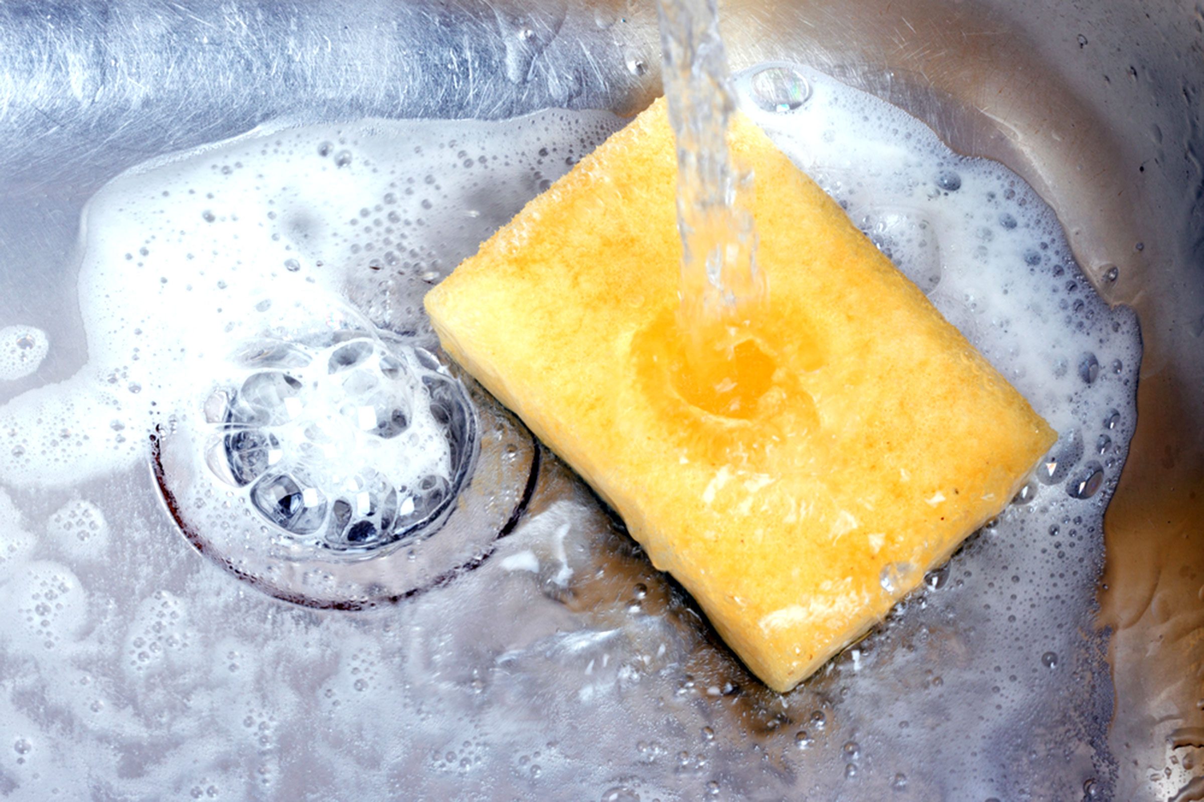 The Dirty Little Secret Inside Your Kitchen Sponge - Health News Hub