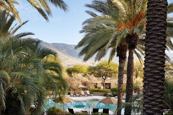 pool and palm trees with new of the mountains at Miraval Arizona Resort