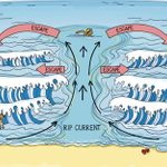 Rip Currents Can Be Deadly—This Chart Shows Exactly What to Do If You Ever Get Caught In One
