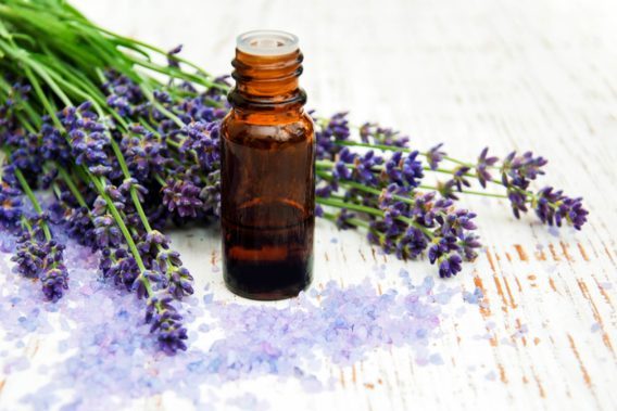 Essential Oils for Colds and Flu: The Best Oils for Symptom Relief ...