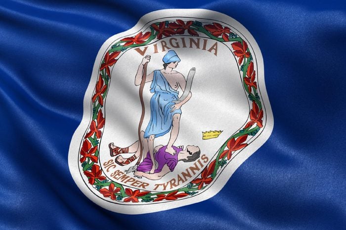 US state flag of Virginia with great detail waving in the wind.
