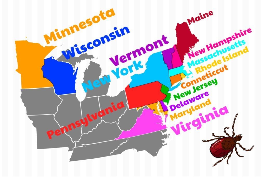 If-You-Live-in-One-of-the-14-States,-You-Need-to-Be-Extra-Vigilant-about-Lyme-Disease.-Find-Out-if-Your-State-Is-on-the-List