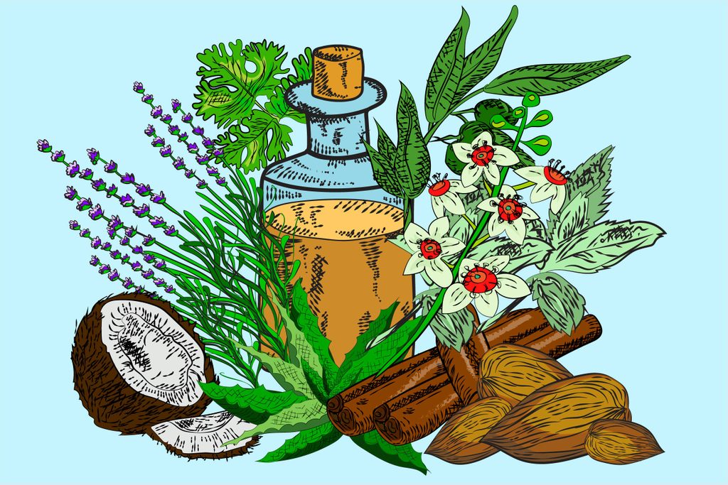 Essential-Oils-That-Amp-Up-Your-Beauty-Routine