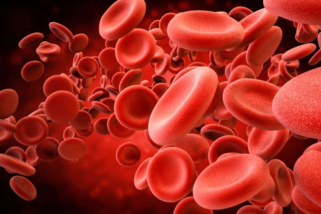 01-Heres-Why-Blood-Is-Red-Because-Youve-Always-Wondered-1024x683.jpg