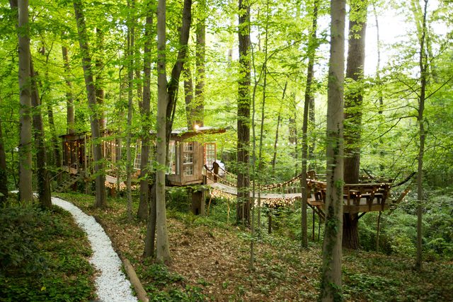 01-step-inside-the-tree-house-thats-the-most-popular-listing-on-airbnb