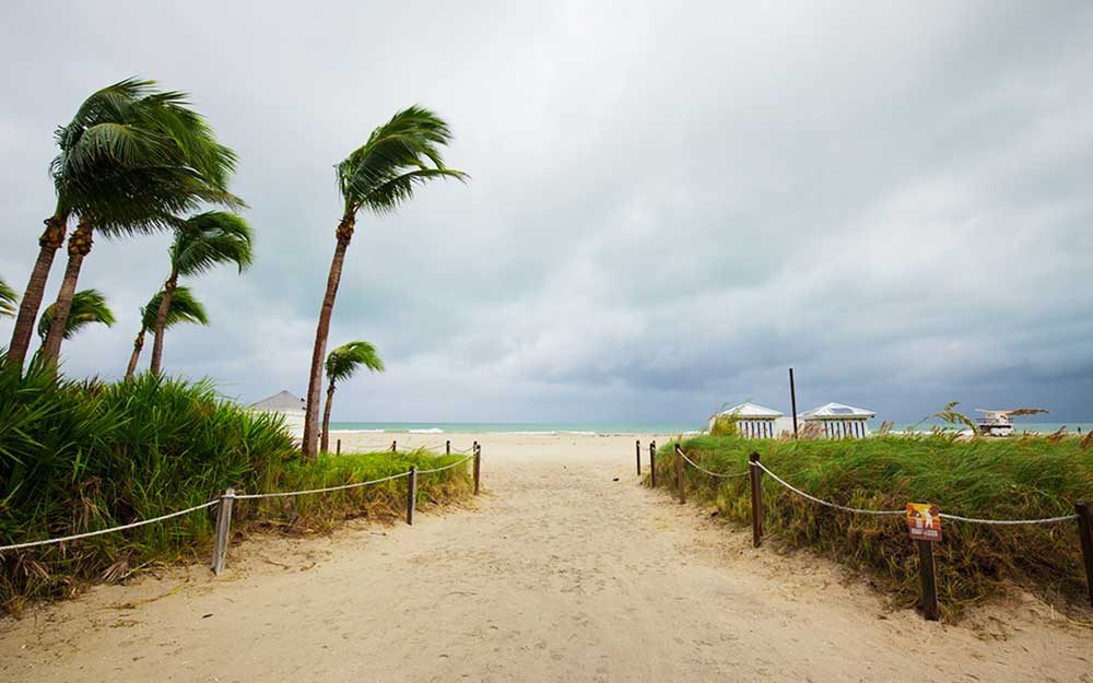 How to Prepare for a Hurricane and What to Do as It Approaches