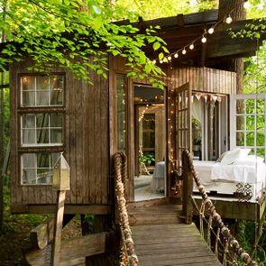 02-step-inside-the-tree-house-thats-the-most-popular-listing-on-airbnb-ft