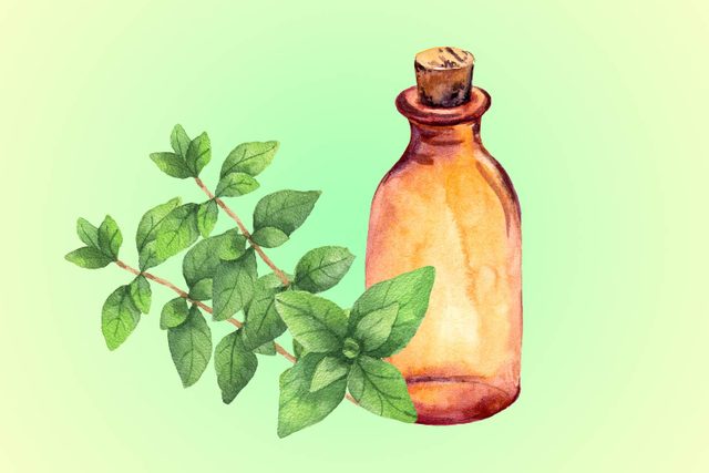 03-oregano-Five-Essential-Oils-for-Allergies--Here's-What-You-Need-to-Know-Now-shutterstck