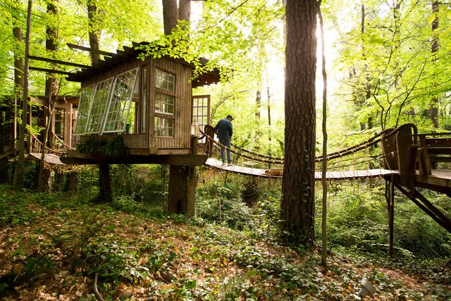 03-step-inside-the-tree-house-thats-the-most-popular-listing-on-airbnb