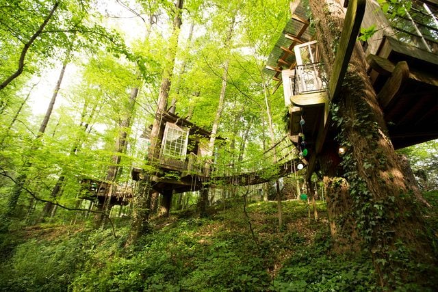 05-step-inside-the-tree-house-thats-the-most-popular-listing-on-airbnb