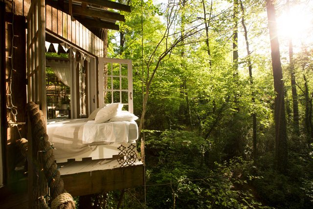 06-step-inside-the-tree-house-thats-the-most-popular-listing-on-airbnb