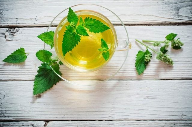 Stop-Everything—Spearmint-Tea-Could-Be-the-Cure-for-Acne-505128496-Maya-Kruchankova