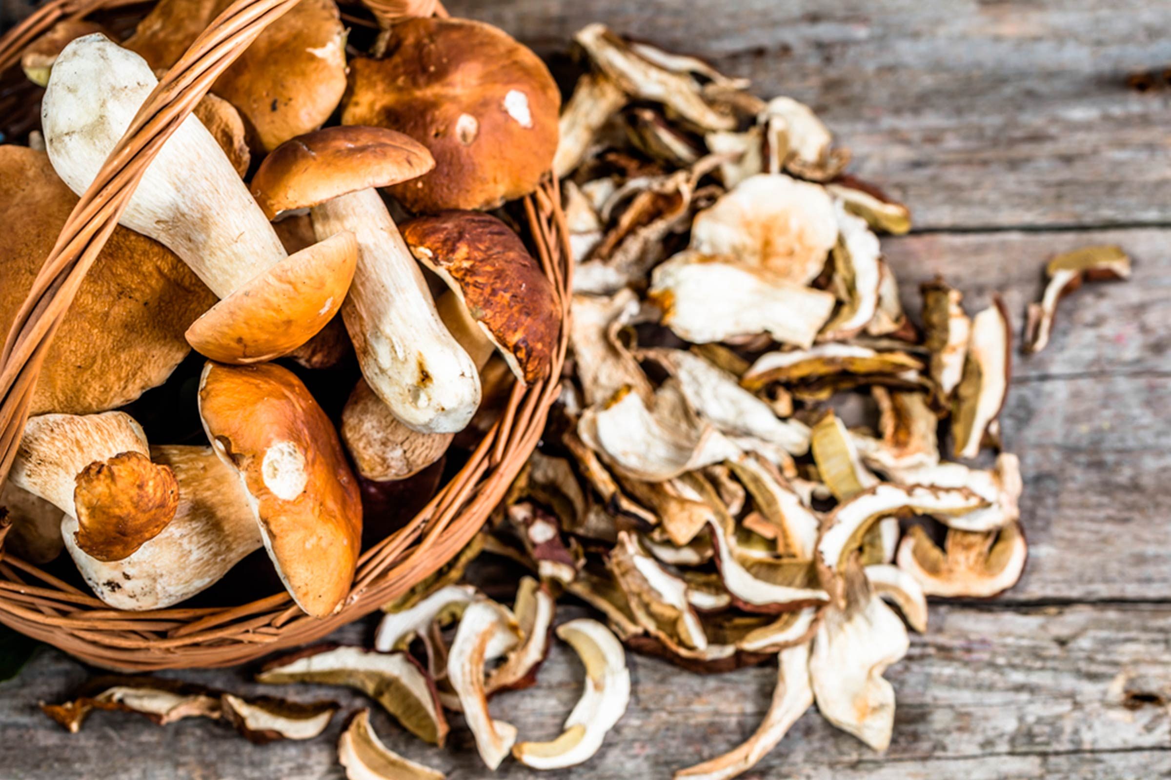 What-You-Never-Realized-About-Mushrooms-Until-Now
