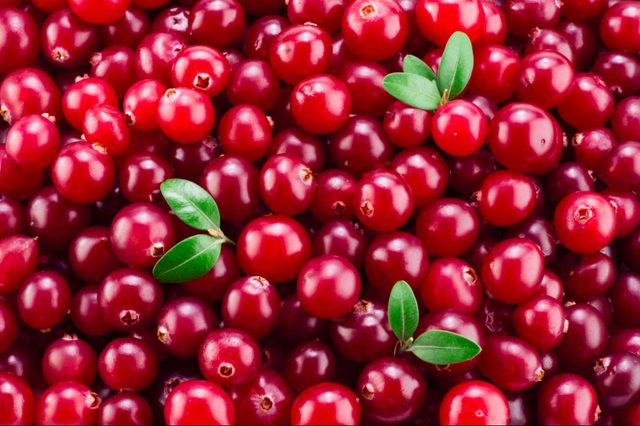 09-cranberries-Fruits and Vegetables that Taste Best in the Fall_267081527-Tim UR