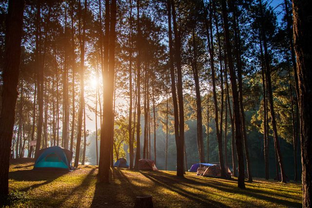 10-camping-Things Everyone Should Do at Least Once Before Summer's Over_574973200-Freebird7977