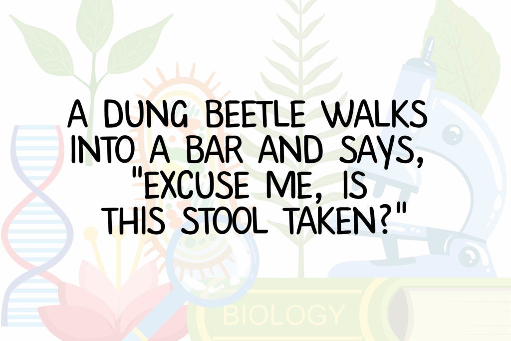 Funny Science Jokes Hilarious Science Jokes Nerds Will Love Readers