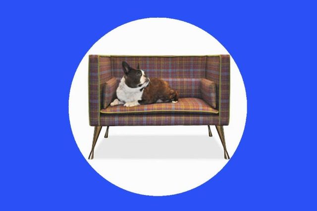 13-dog-beds-Cheeky-Gifts-For-Fans-of-the-British-Royal-Family-Regency-Regalia-via-blog.savoirbeds.co.uk