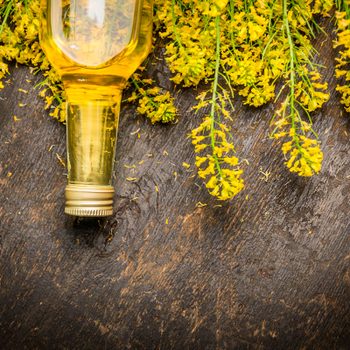 Canola-in-Canola-Oil-Has-Been-Acronym-This-Whole-Time-281302403-VICUSCHKA-shutterstock