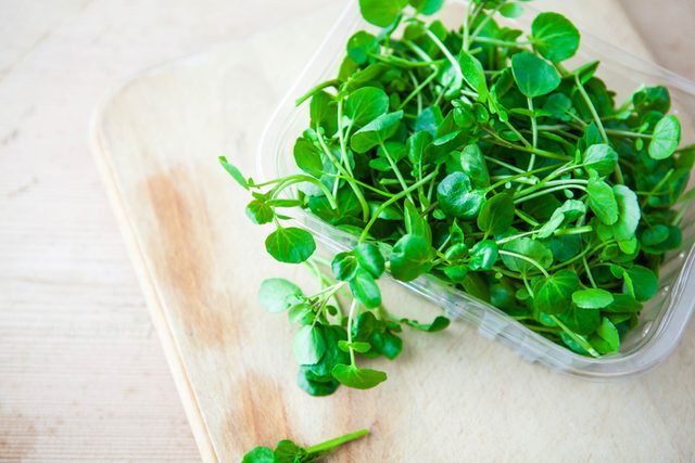 Move-Over,-Kale--This-Is-the-Most-Nutritious-Vegetable-You-Can-Eat_569084008_The-Watercress-Company