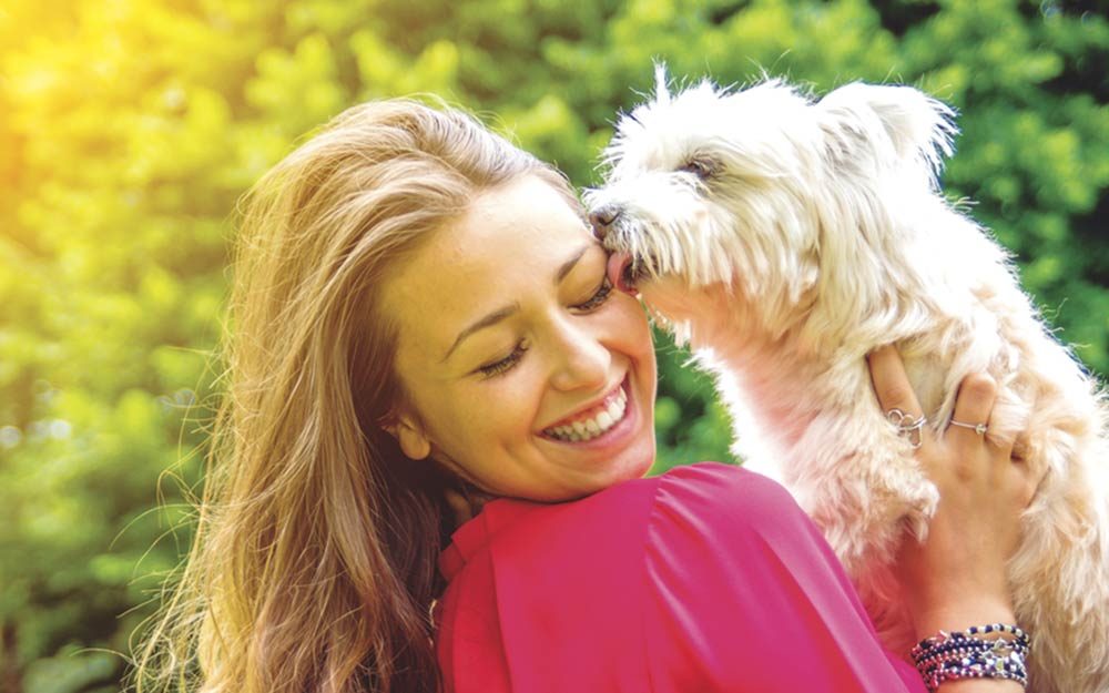 Why You Don't Have to Worry About Dying From Being Licked By Your Dog