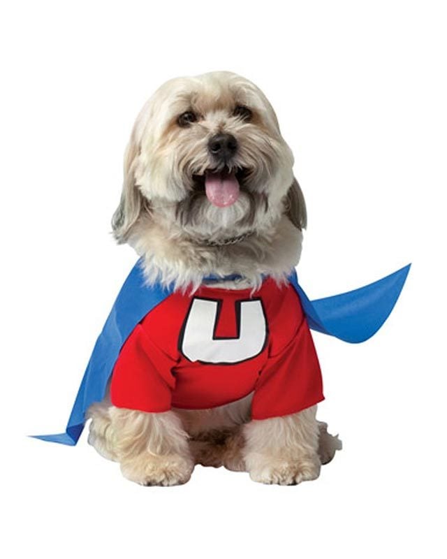 Dog Halloween Costumes: Best Costumes for Dogs | Reader's Digest