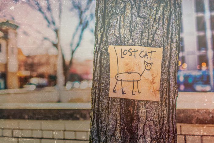lost-pet-sign