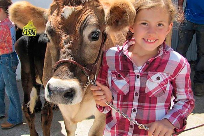 young girl holds the lead of a brown cow and poses close to the cows head