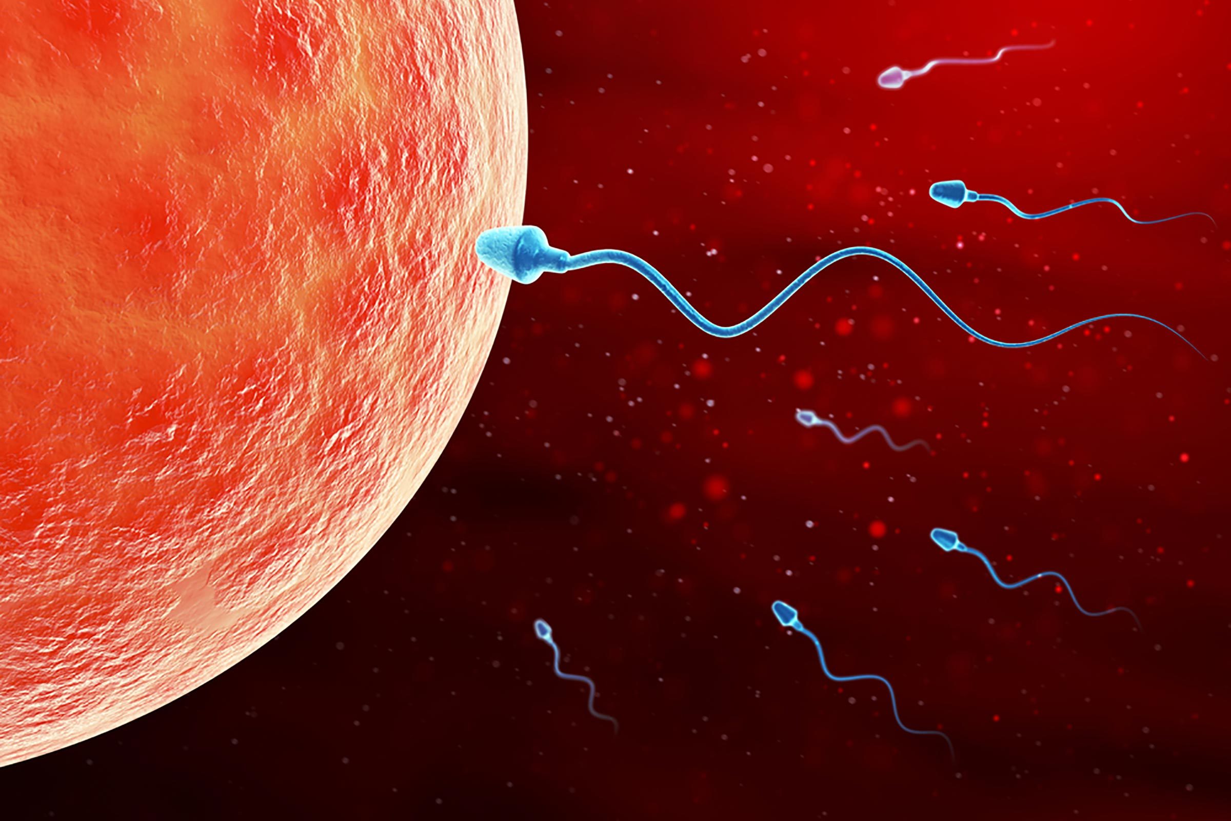 Dark spot in sperm