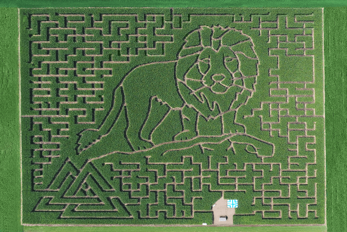 Heartland Country Corn Maze