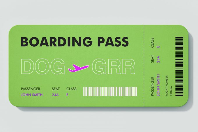 boarding pass. DOG to GRR.
