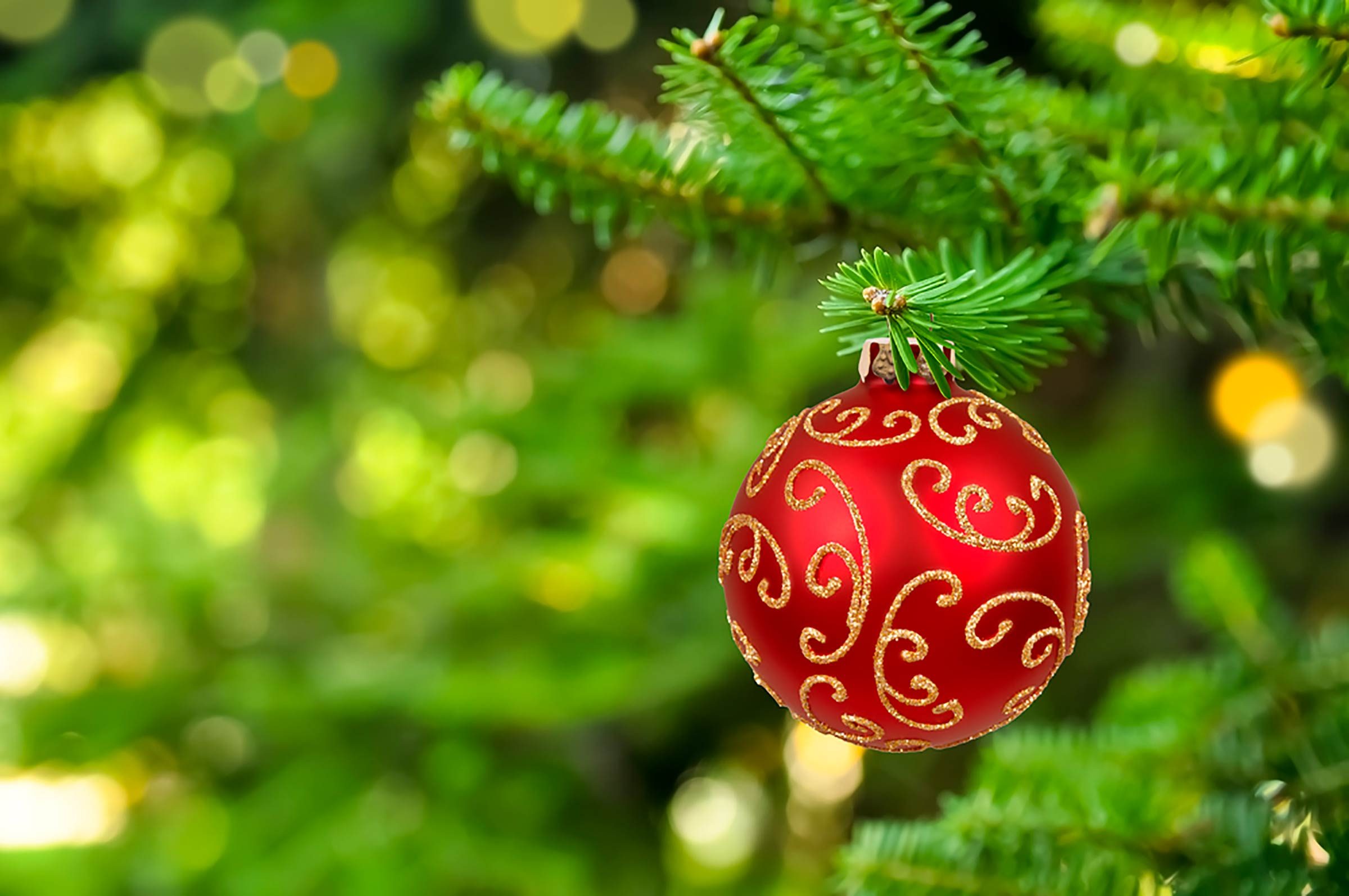 Why Christmas Colors Are Green and Red | Reader's Digest
