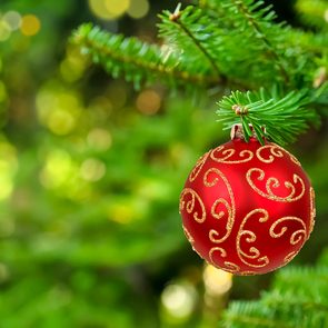Real-Reason-Why-Christmas-Colors-Are-Green-Red-227157151-shutterstock-Didecs