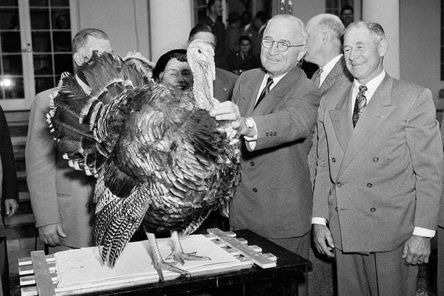 This-Is-why-the-president-pardons-a-turkey-every-thanksgiving-5963403a-Henry-Griffin-AP-REX-Shutterstock