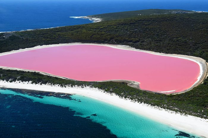 Pink-lake