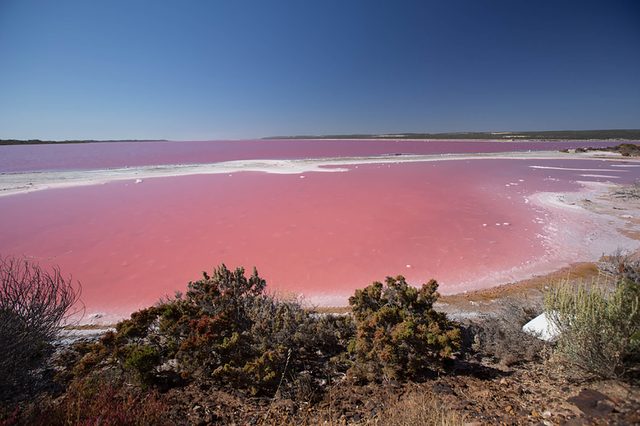 Pink-Lakes
