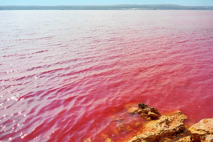 7 Naturally Beautiful Pink Lakes from Around the World