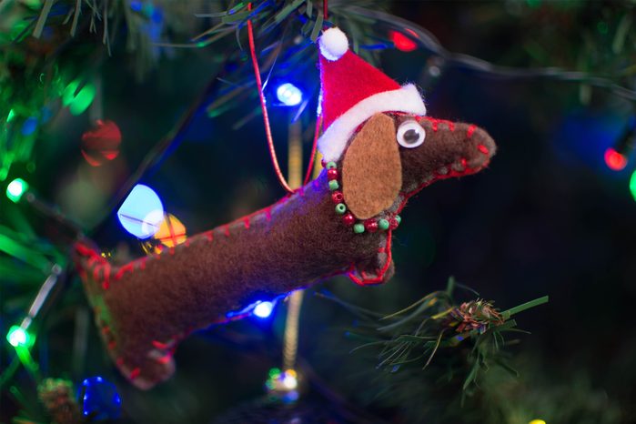 Felt dachshund Christmas ornament on Christmas tree