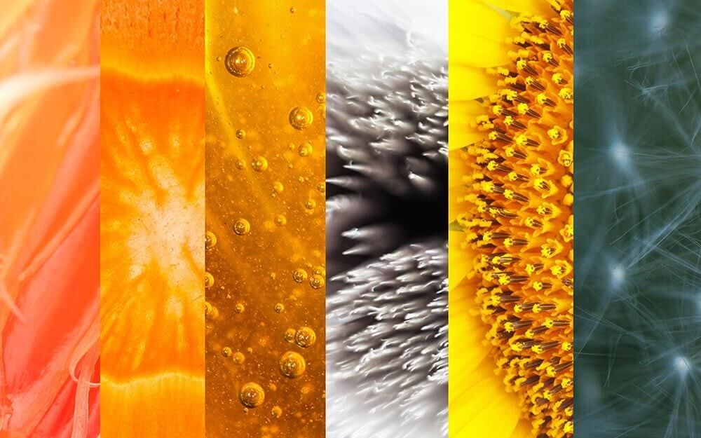 Can You Identify Everyday Objects By Close-Up Pictures? | Reader's Digest