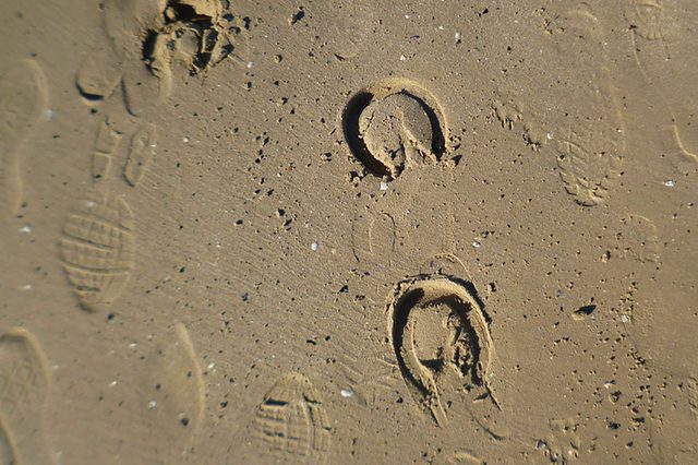 Horse-Footprints