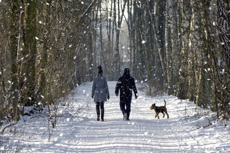 Winter-walk