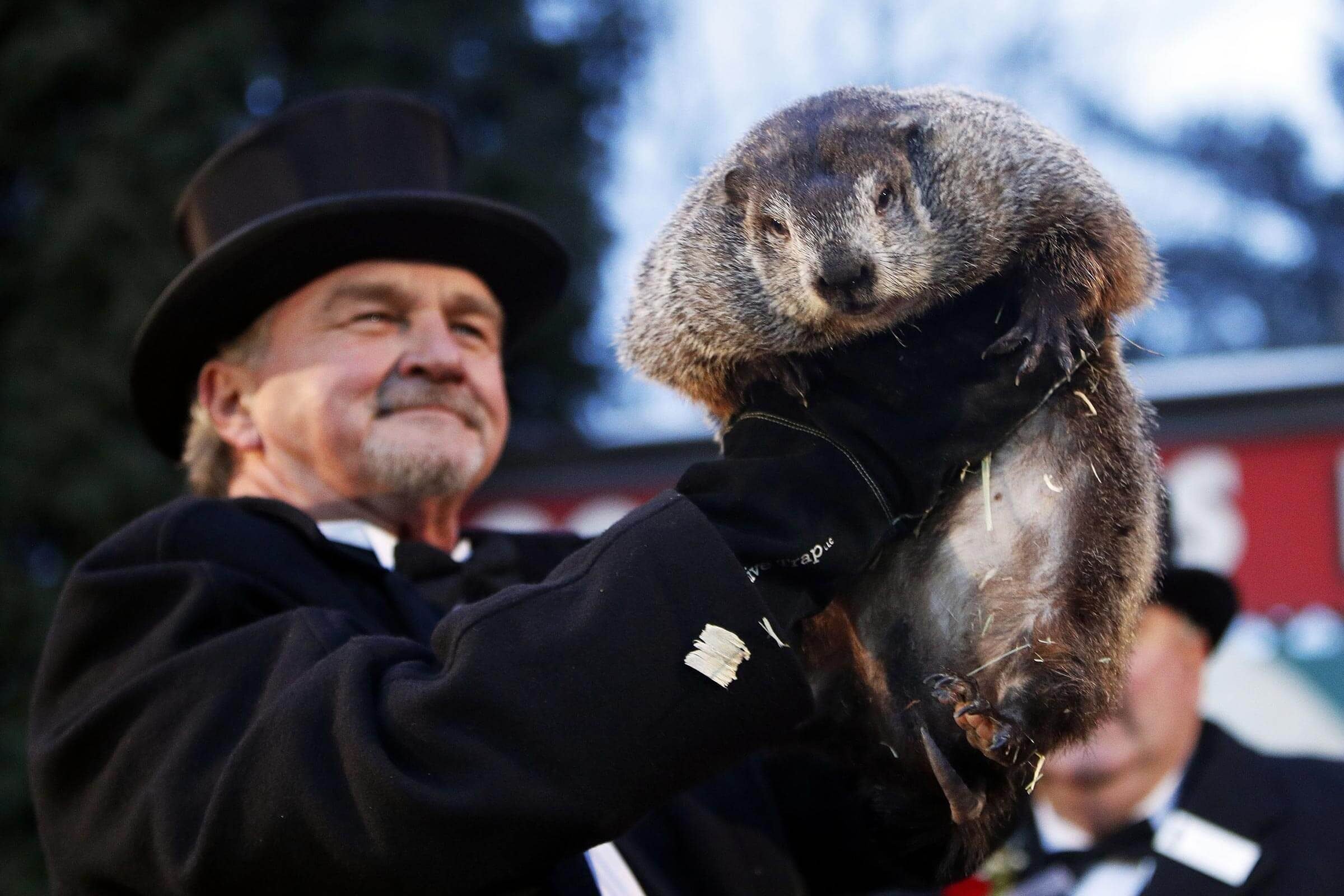 Surprising Groundhog Facts for Groundhog Day | Reader's Digest