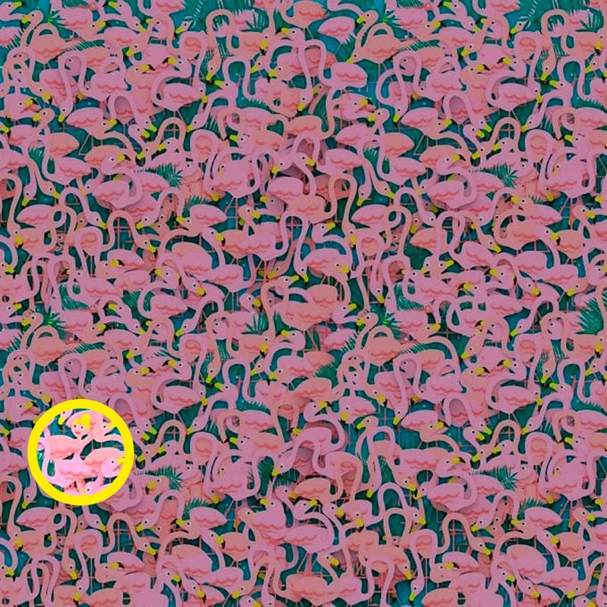 encontrar a bailarina escondida entre a resposta do quebra-cabeça flamingos