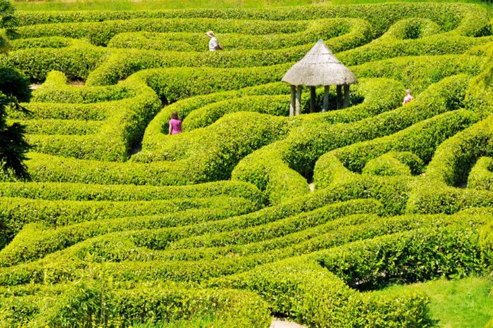 Glendurgan garden maze