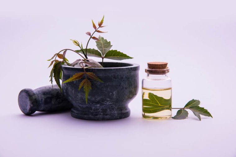 Ayurvedic Herbs Neem with Oil in bottle with mortar