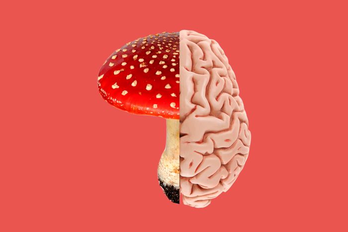 mushroom-brain
