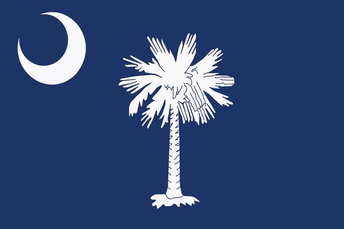South-Carolina-State-flag