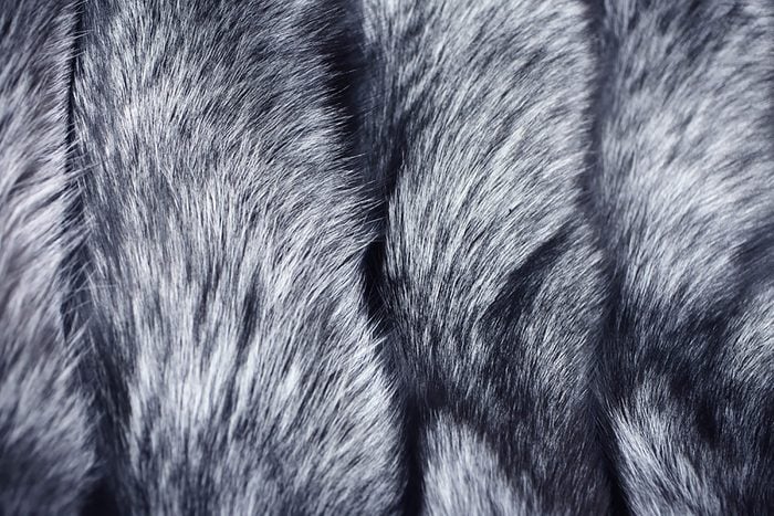 Silver-fox-fur