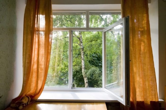 Opened plastic window in room with view to green trees