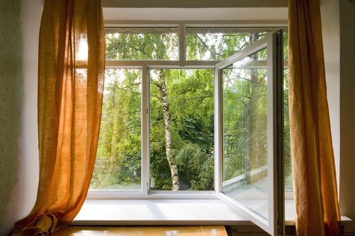 Opened plastic window in room with view to green trees