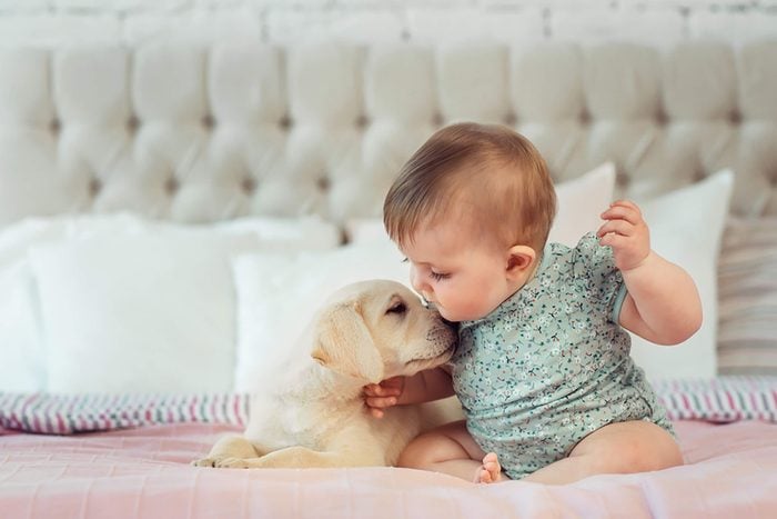 adorable baby kisses puppy's head